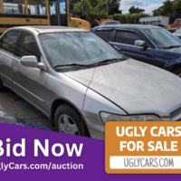 1999 Honda Accord V6 - $1,750.00 — <a href="https://uglycars.com/auction/" target="_blank" rel="noopener noreferrer">BID NOW</a>