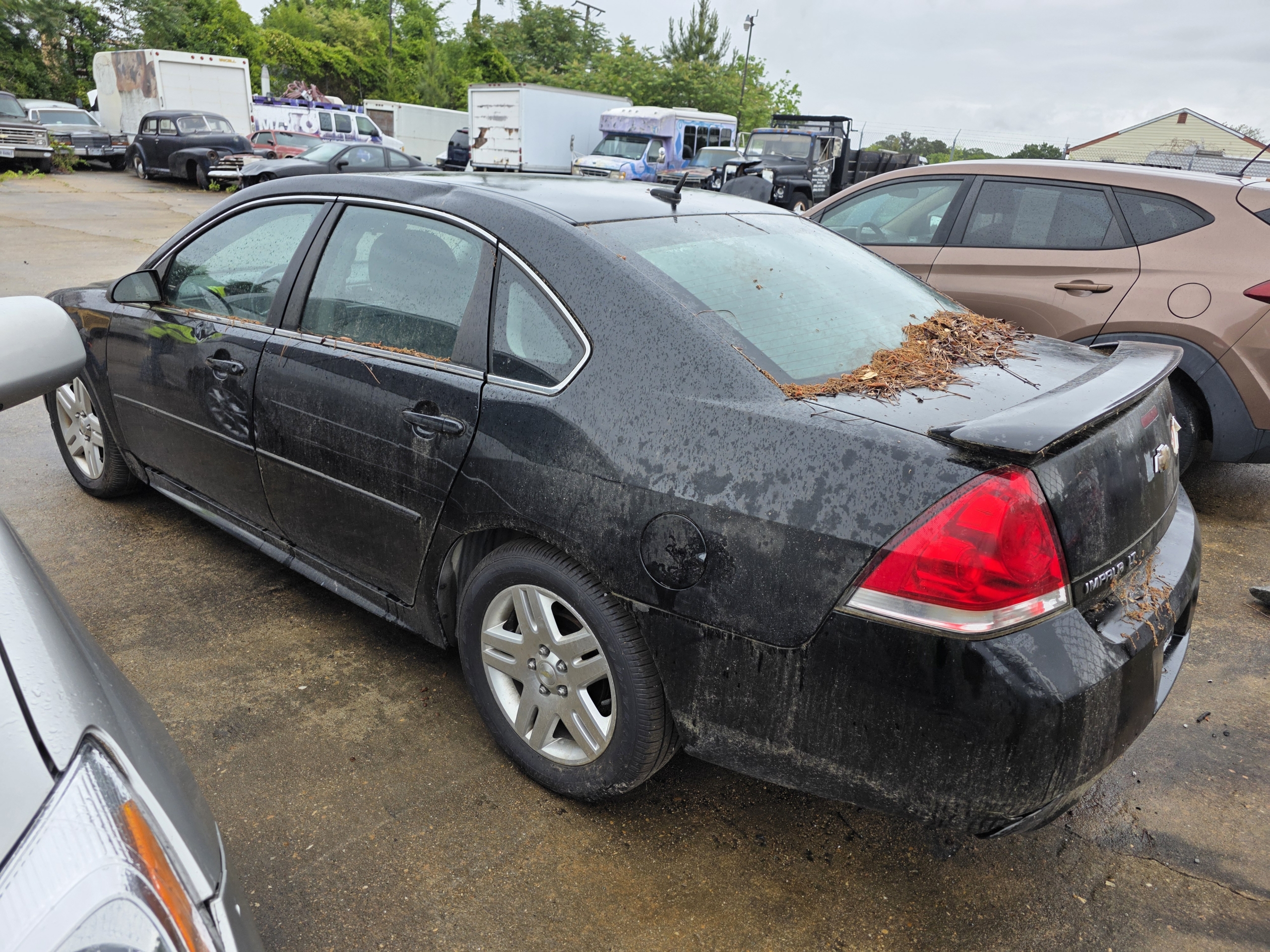 2013 Chevrolet Impala 2FL (Fleet)'s photo